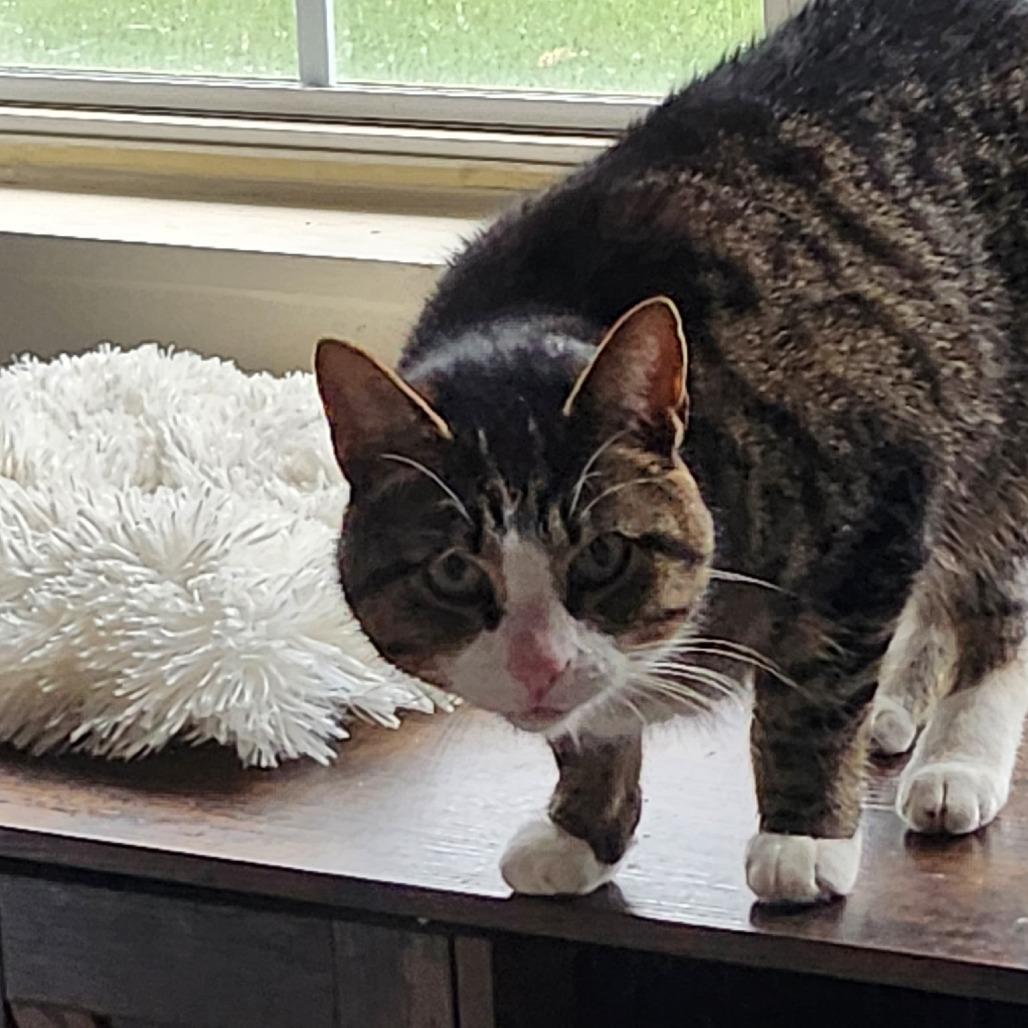 Davis @ Pet Supplies