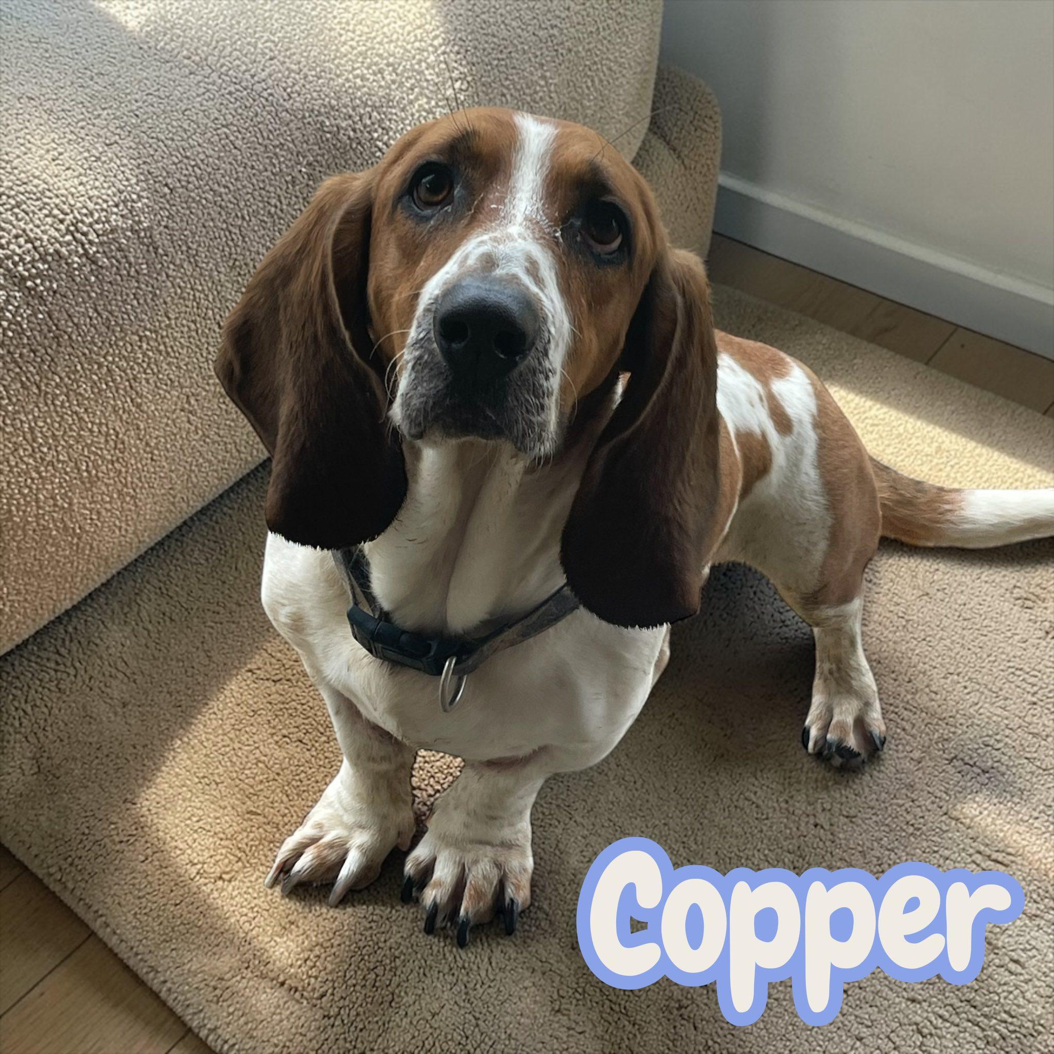 Copper