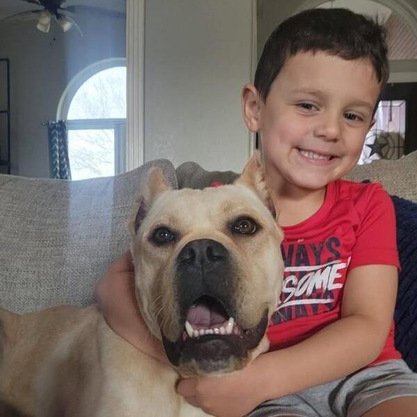 Piper Squishy Lovebug