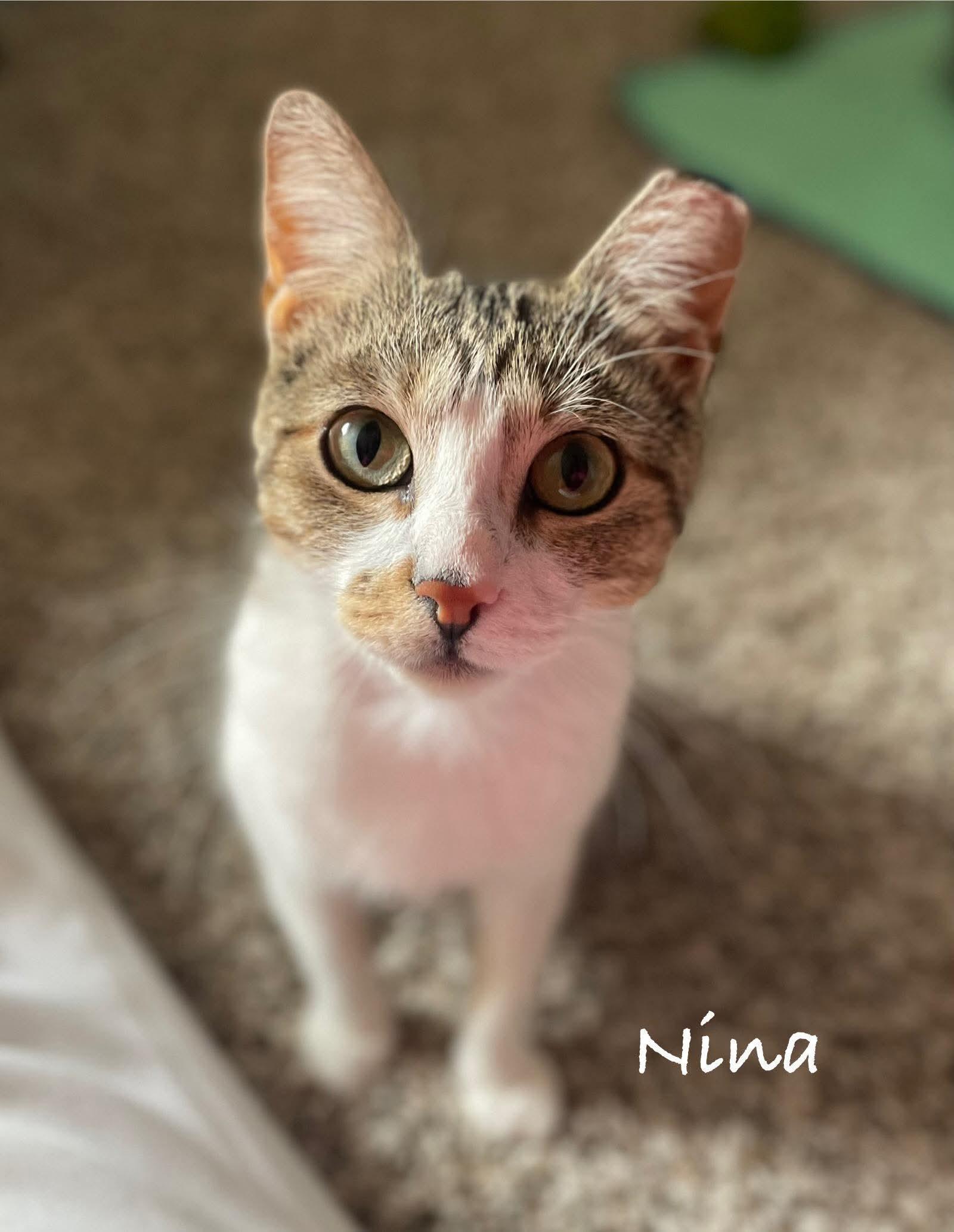 Nina