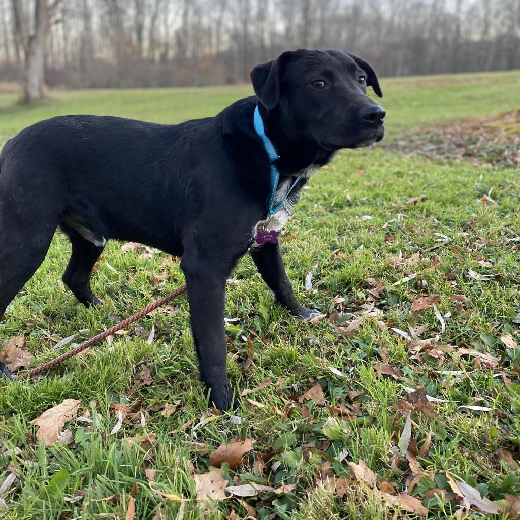 Phillie~graduated From Pawsinprison.