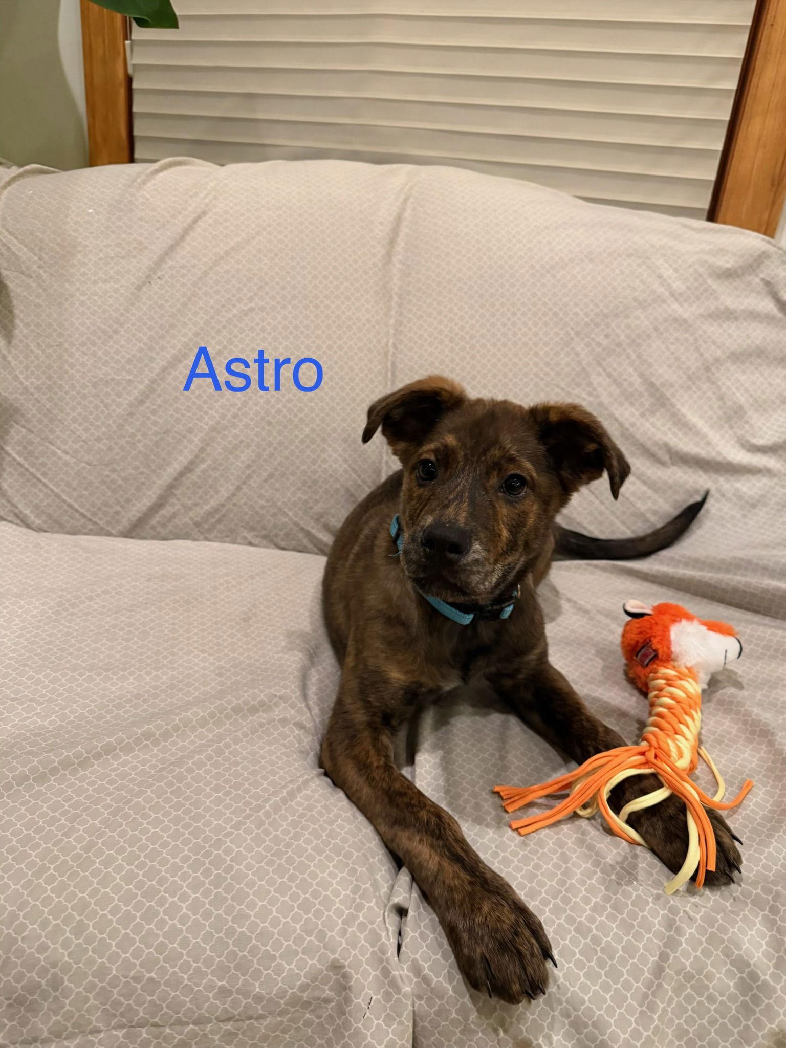 Astro
