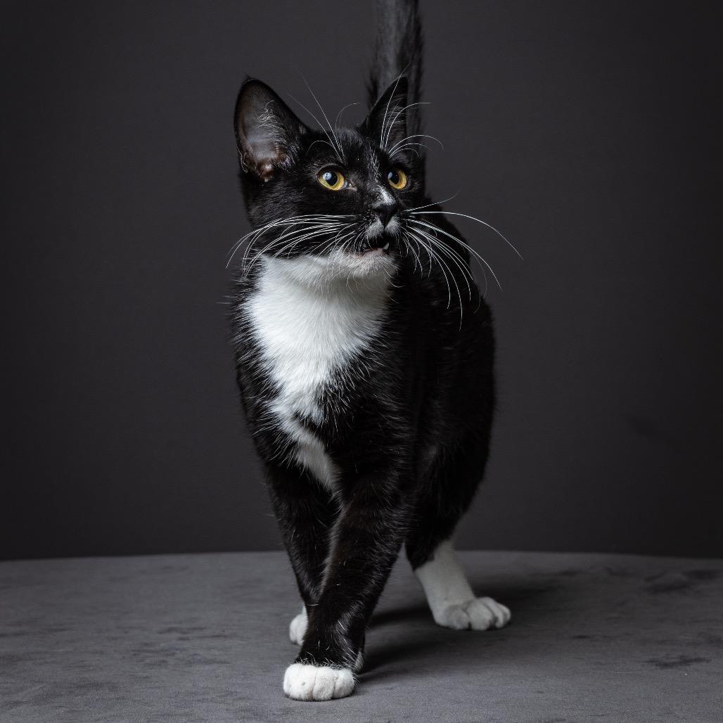 Registration Ngarth photo 1