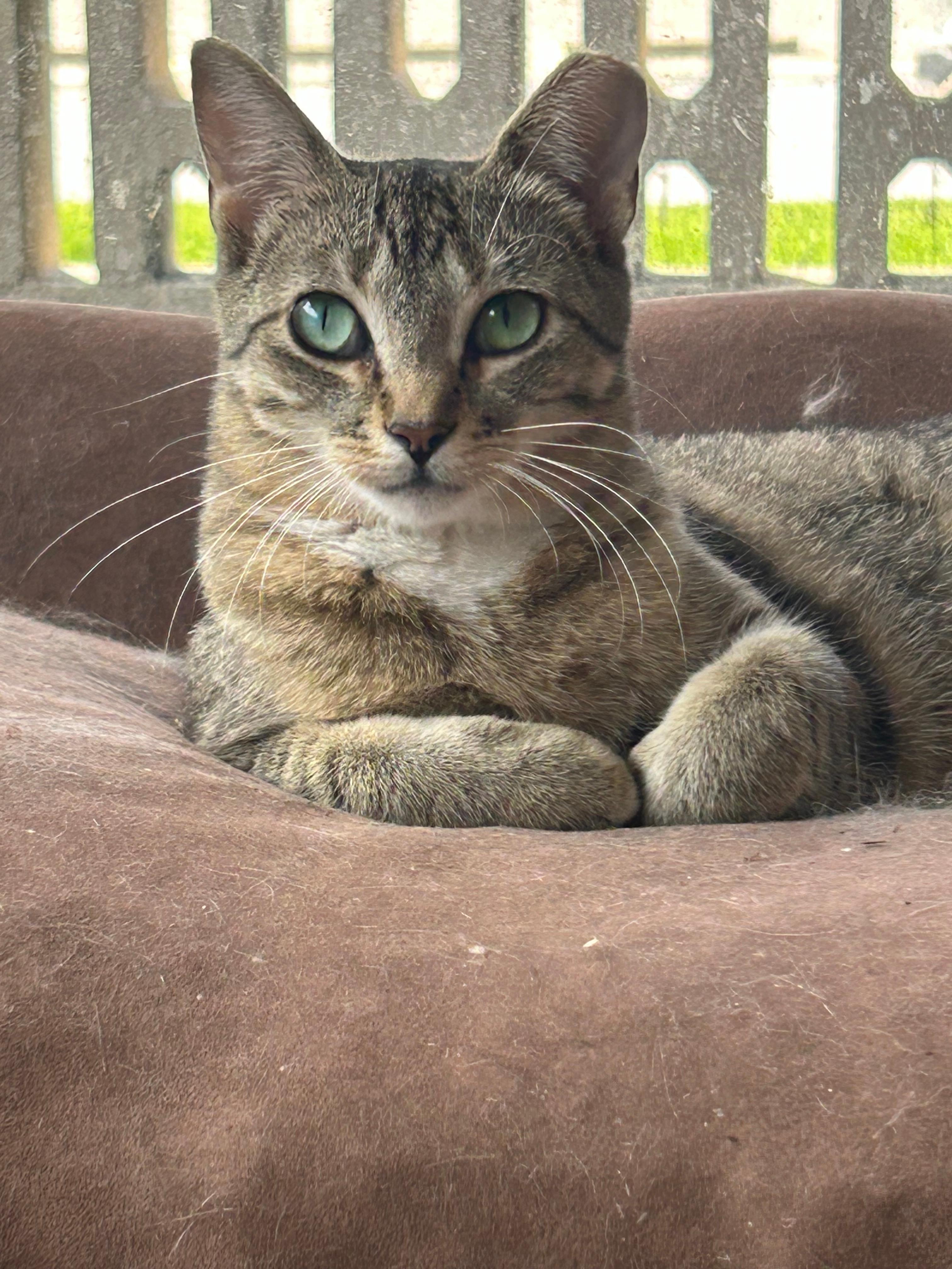 Murphie And Marina Bonded