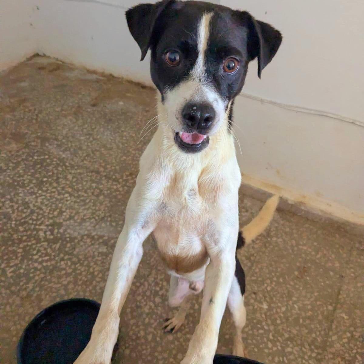 Lorenzo "let's Love."