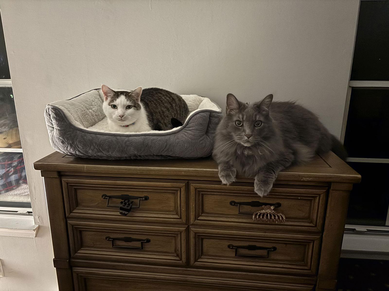 Ricky & Sophie photo 1