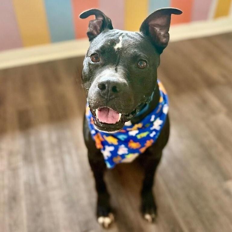 Baylor Banjo Morning Coffee