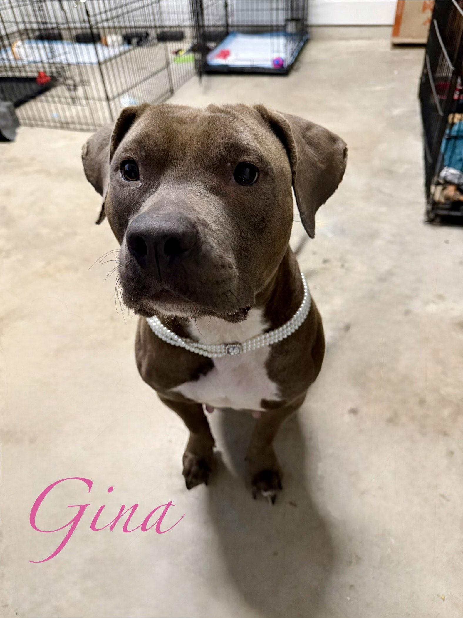 Gina