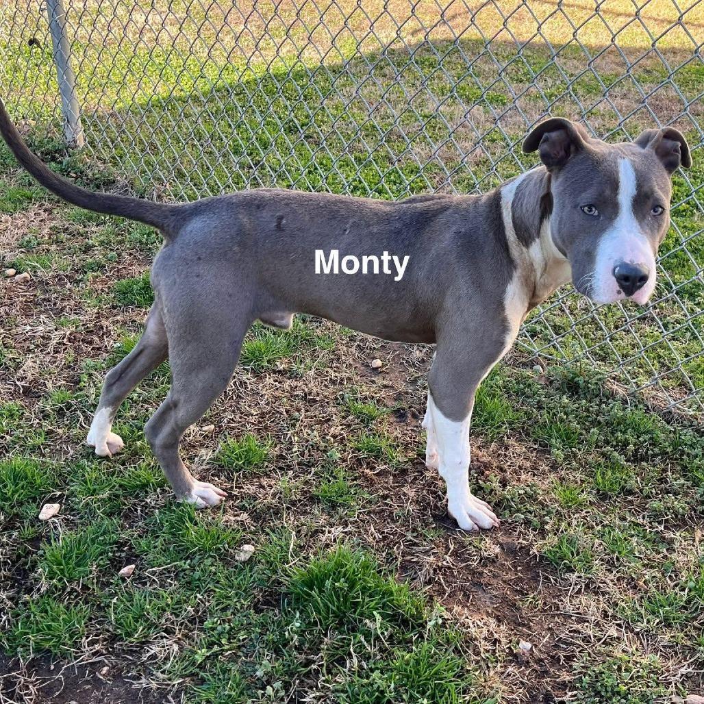 Monty