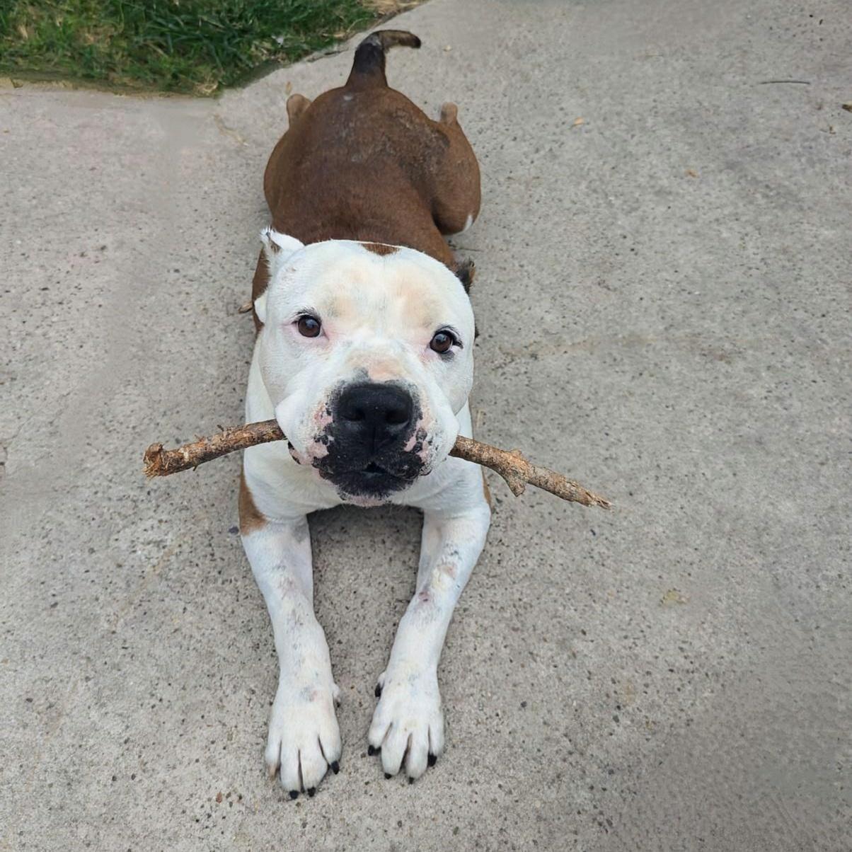 The "king" Of Country