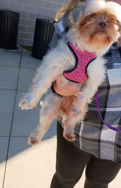 Milly
