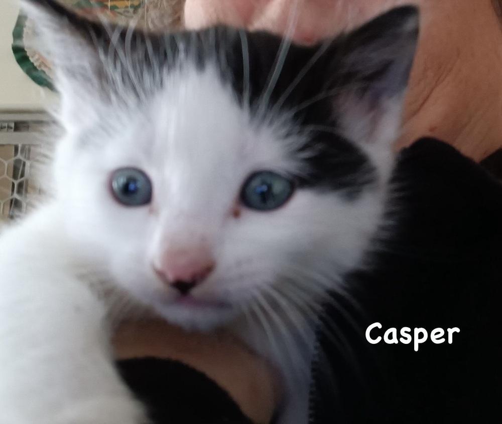 Casper photo 1