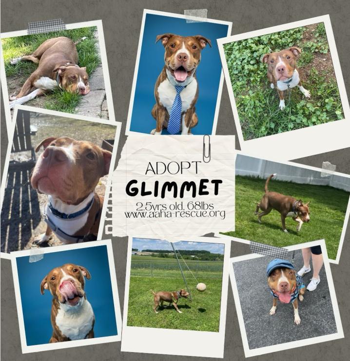 Glimmet