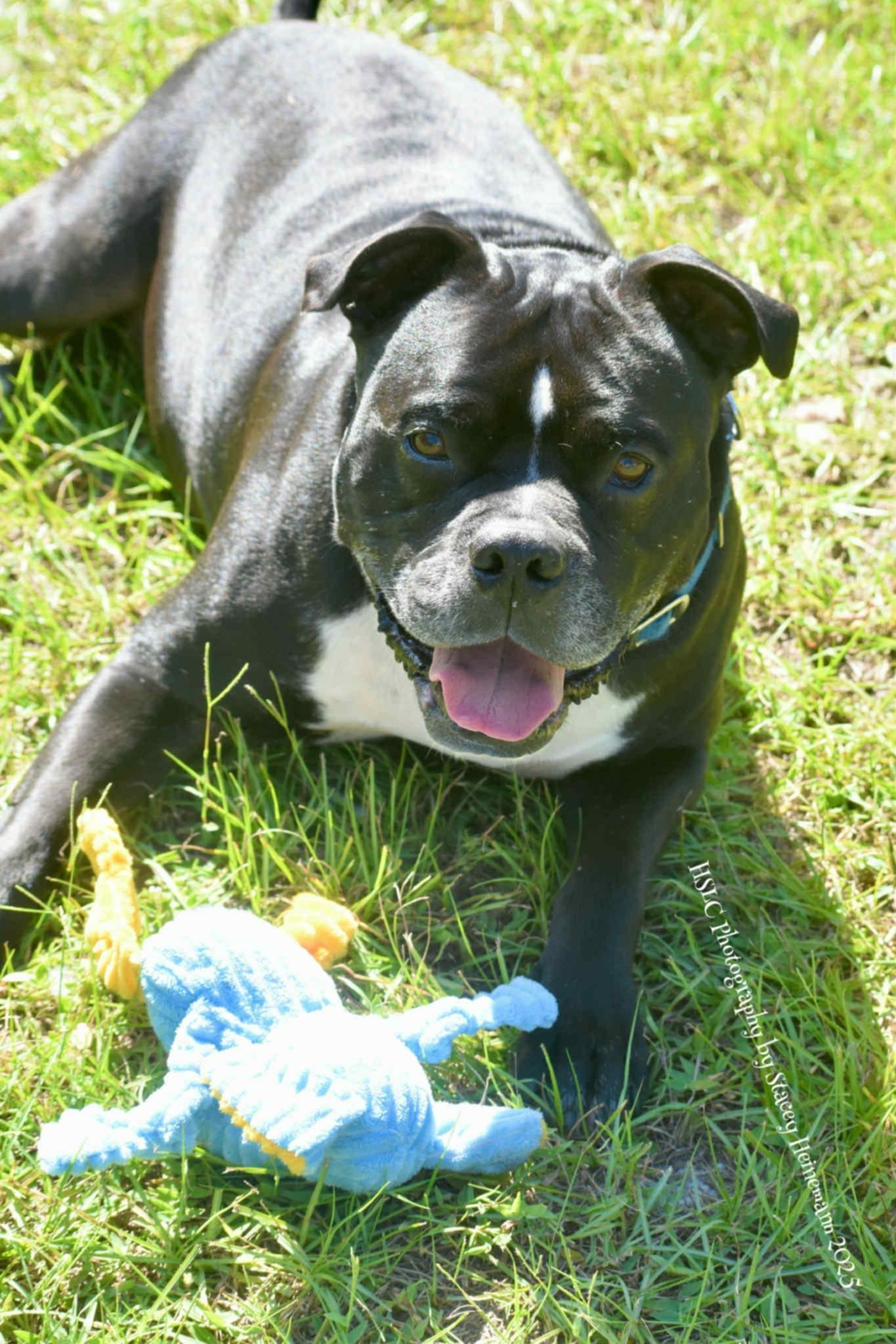 Kane Trained & Sponsored