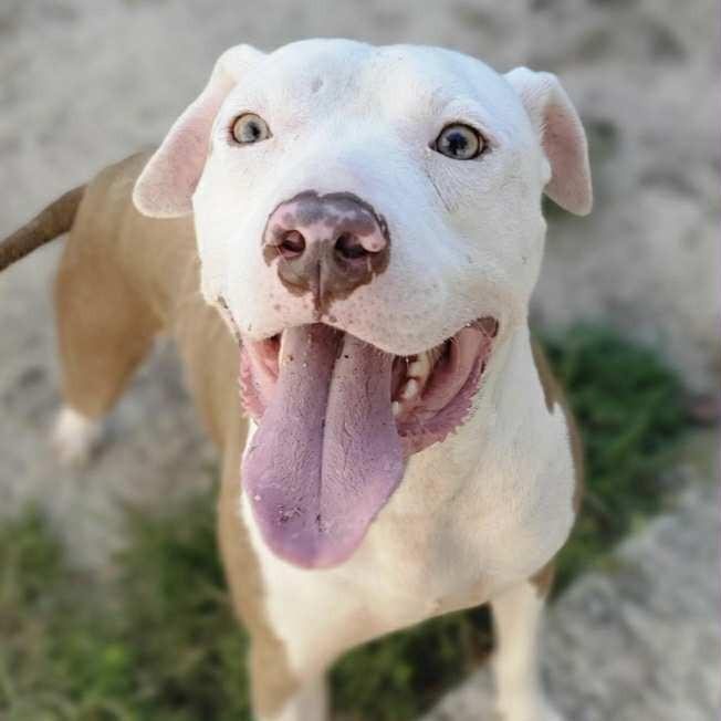 Marley
