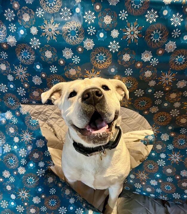 Mary Puppins photo 1