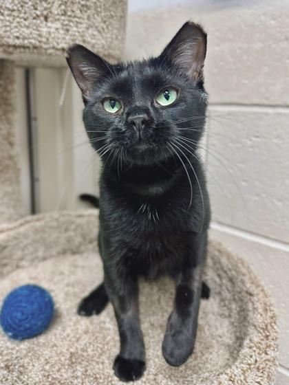 Mama "nellie" Deloney