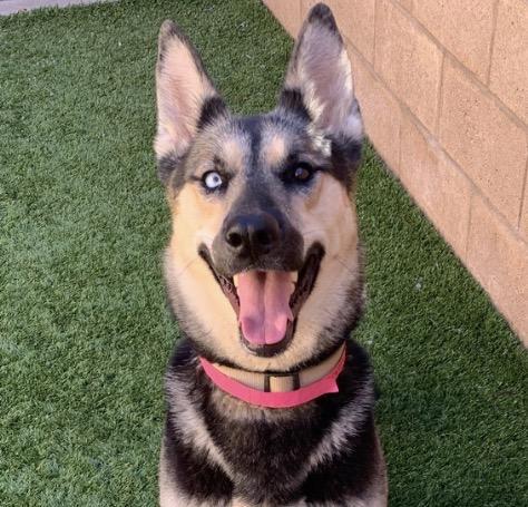 Hannah Seeking Forever