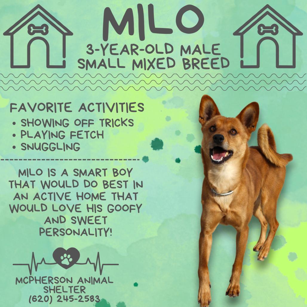 Milo