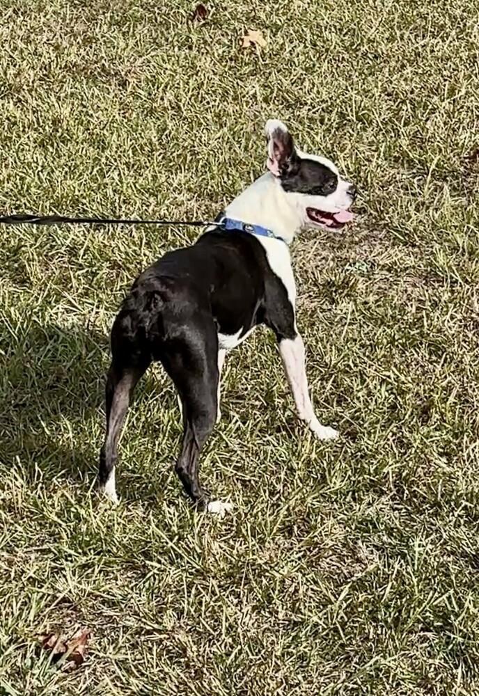 Phantom Zanecochran Ga