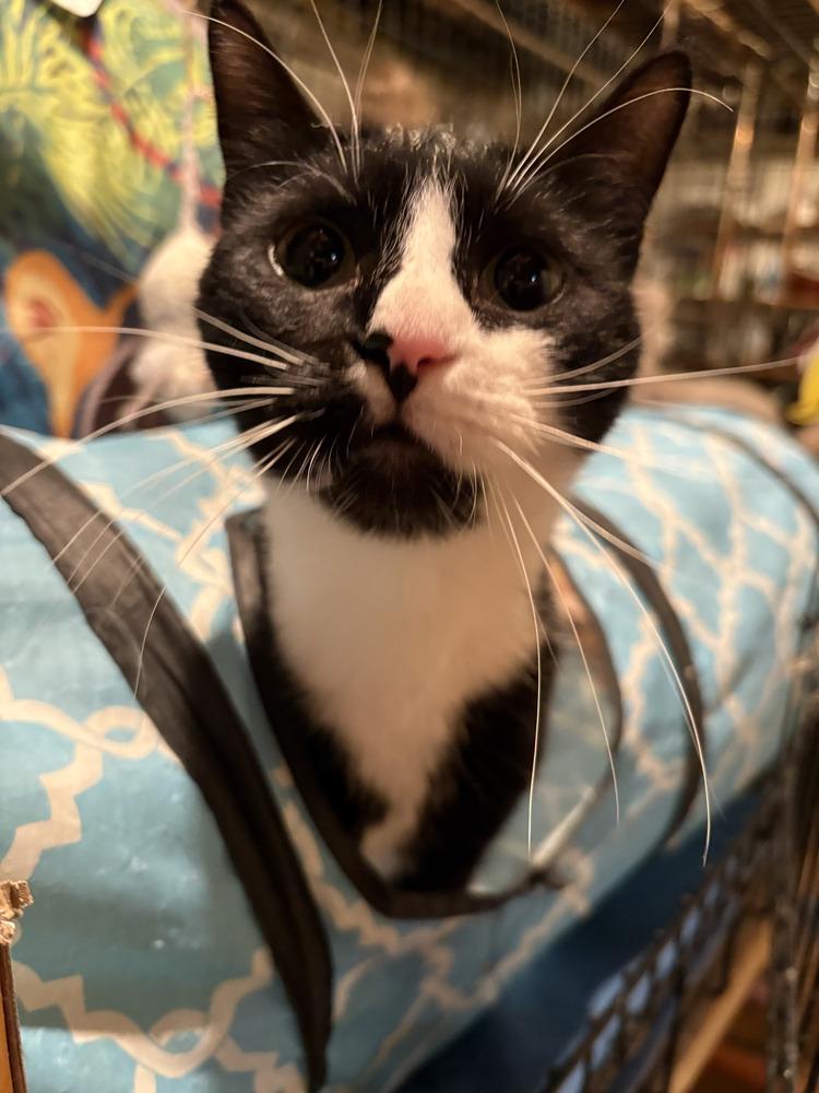 Molly East Meadow photo 1