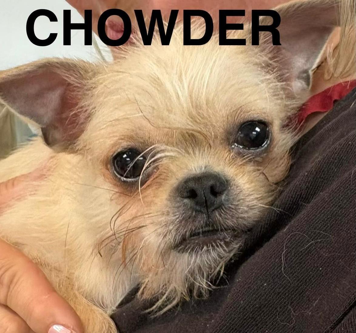 Chowder
