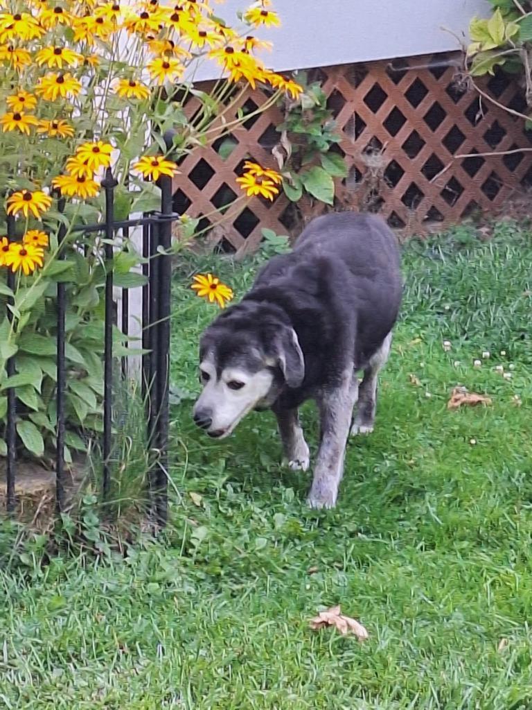 Mia Courtesy Listing