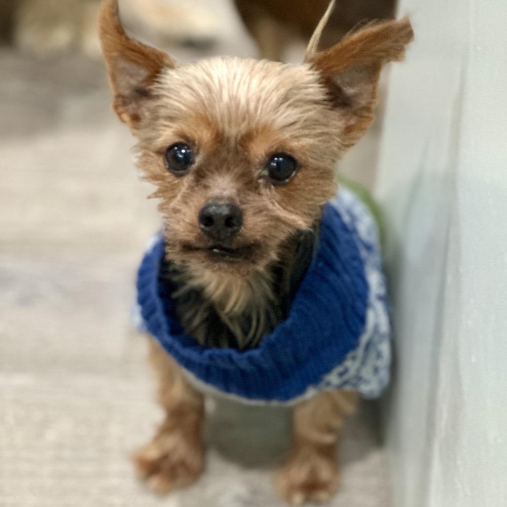 Max
