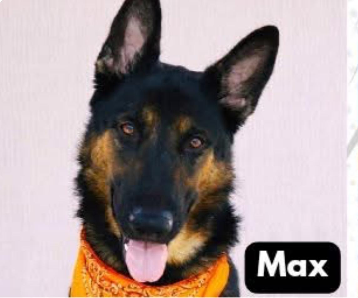 Max