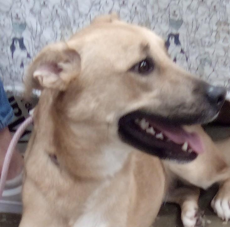 Delilah