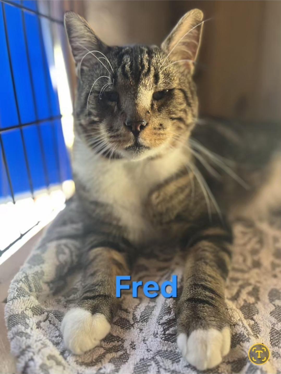 Fred