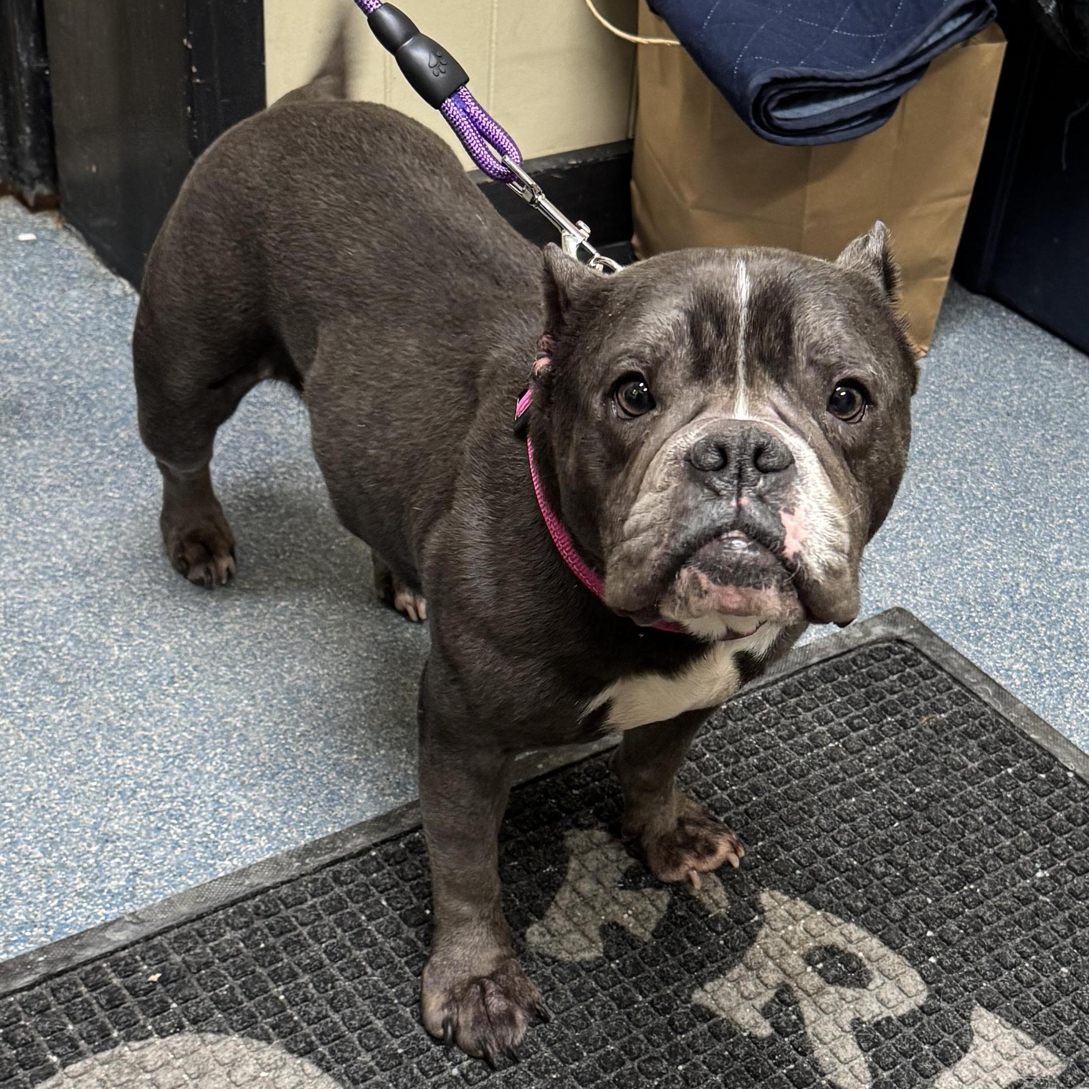 Meet Riley! Sweet Female