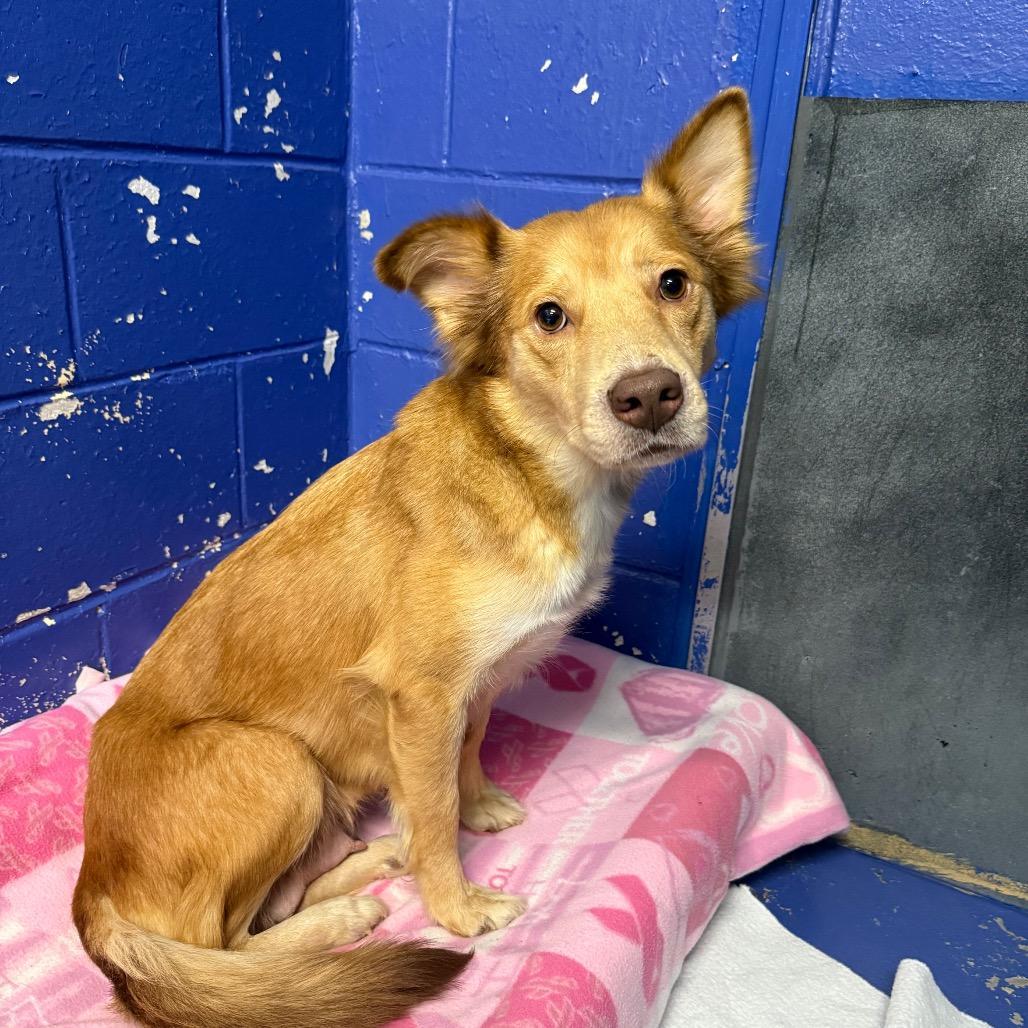 Ct Miss Honey photo 1