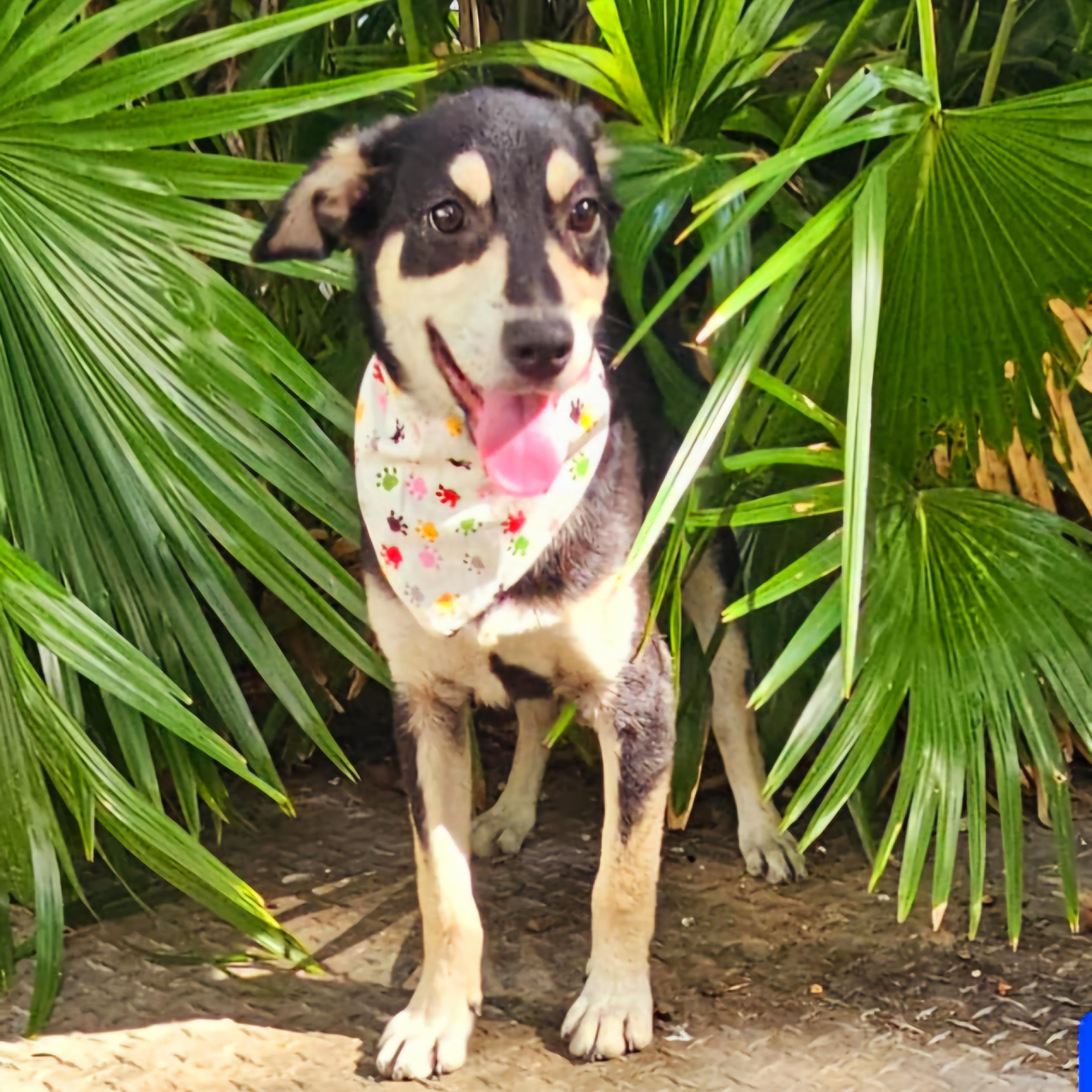 Halo "waiting With Love."