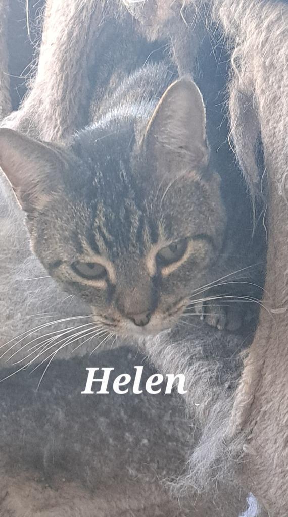 Helen