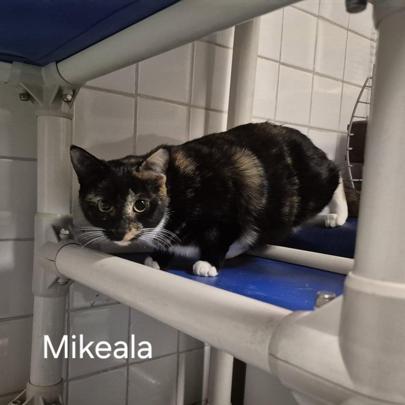 Mikeala