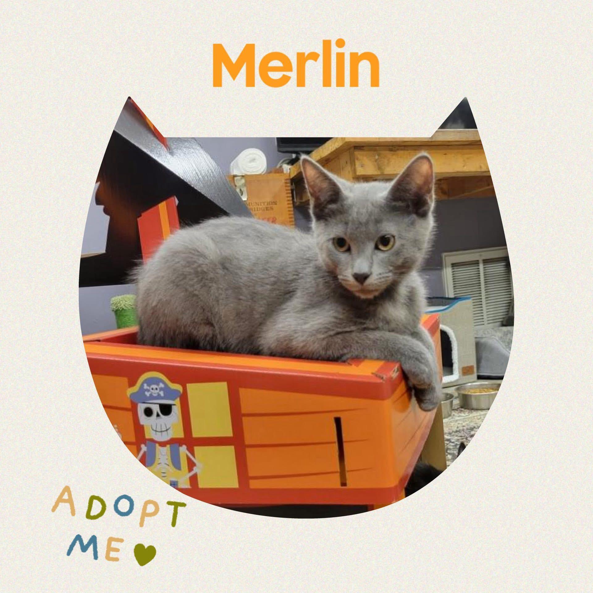 Merlin