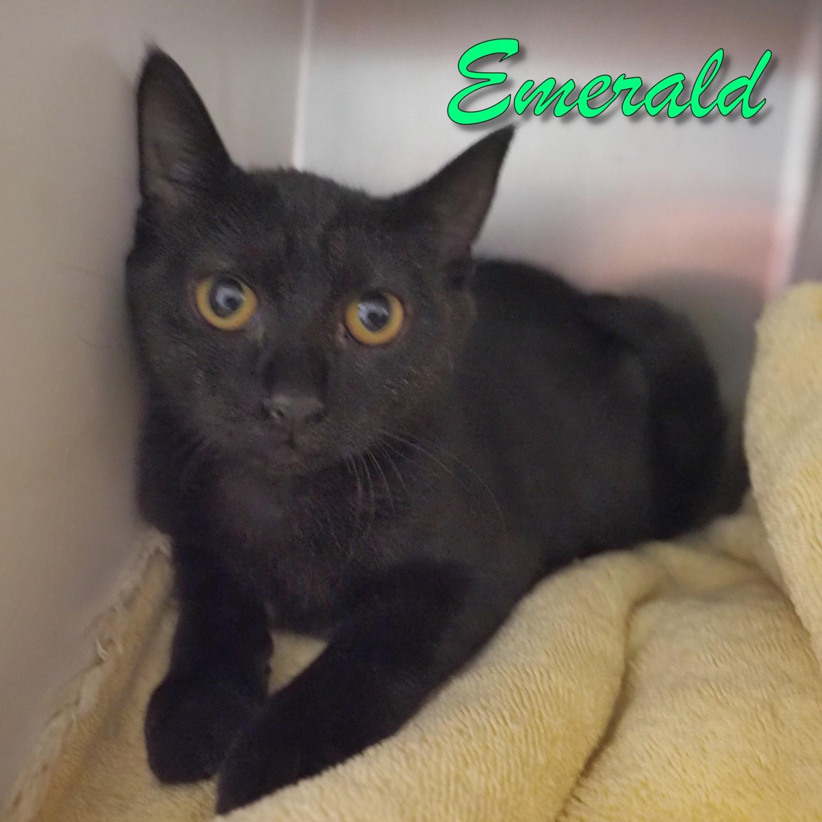 Emerald