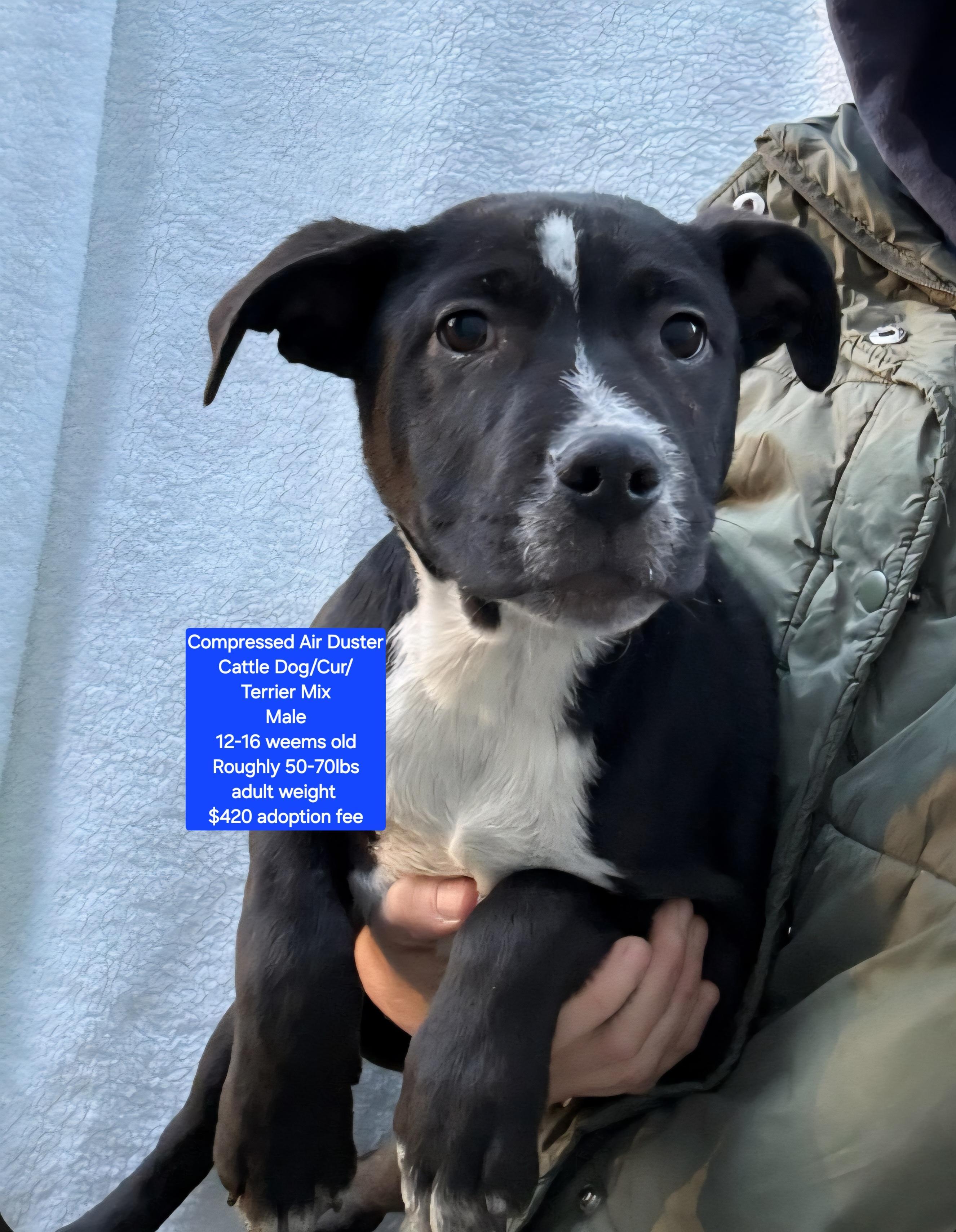 Compressed Air Duster