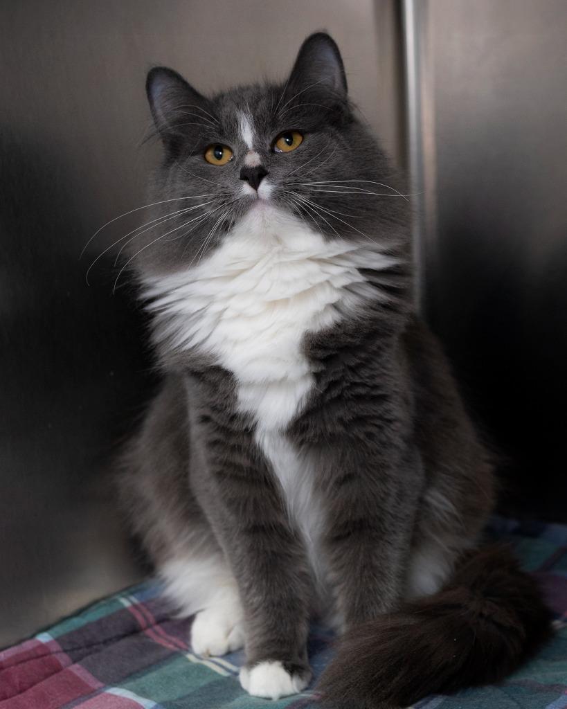 Sissy Bonded With Sam