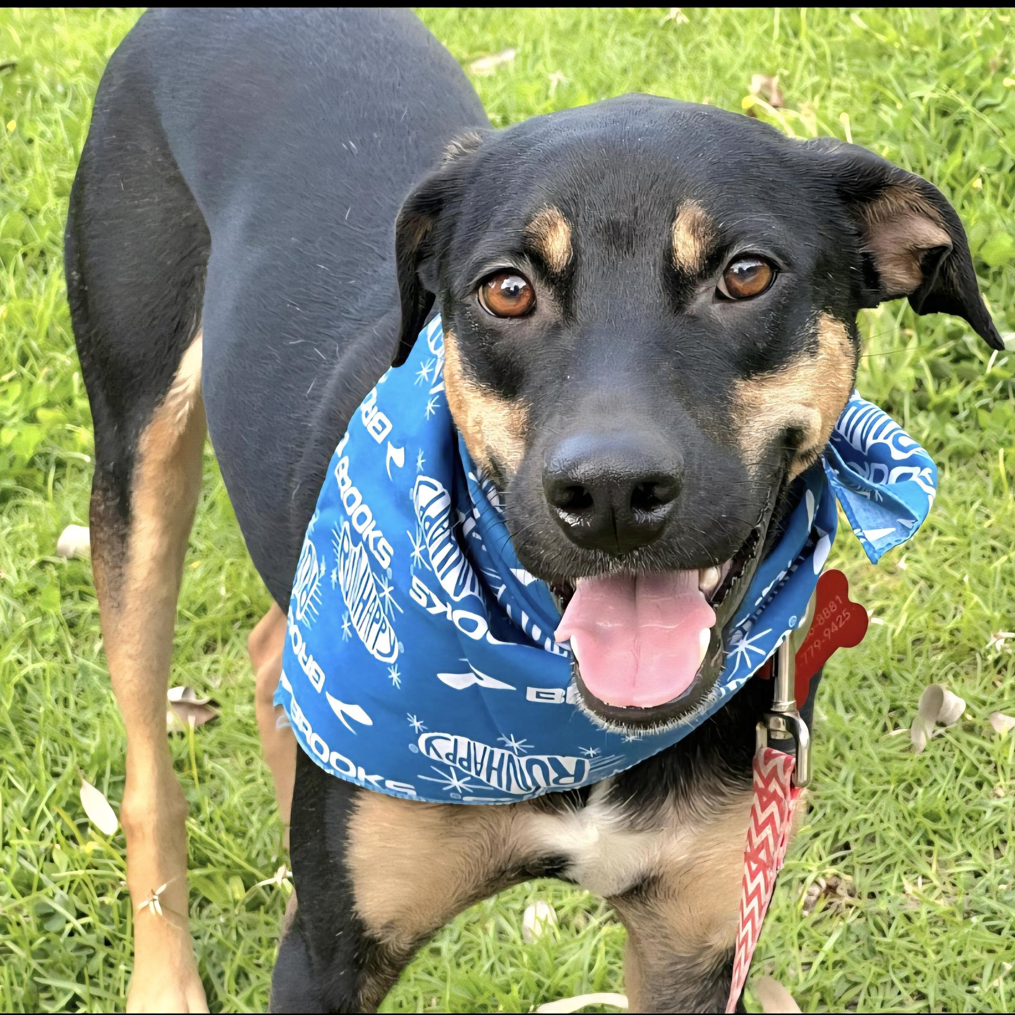 Mario Bonded With Brother