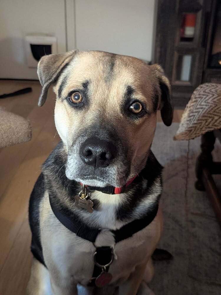 Stevie Nicole photo 1