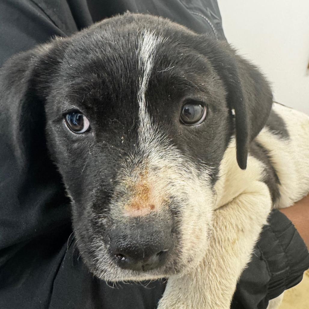 Mackenzie Morris photo 1