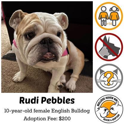 Rudi Pebbles