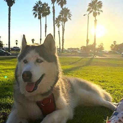 Luna Happy And photo 1