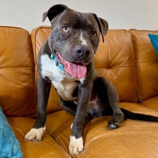 Mclovin Cuddles Comes With