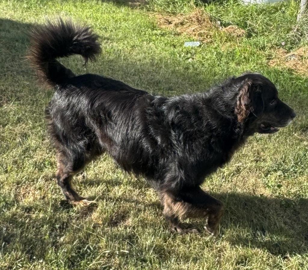 Zack Courtesy Listing