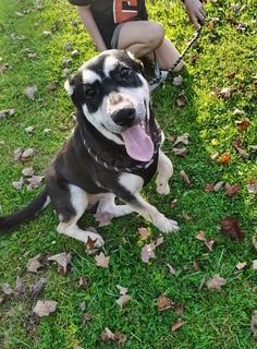 The Difference Between Recognition