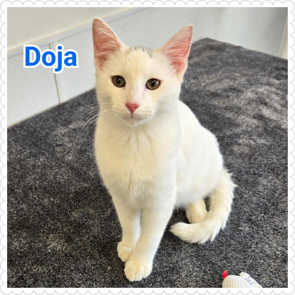 Doja