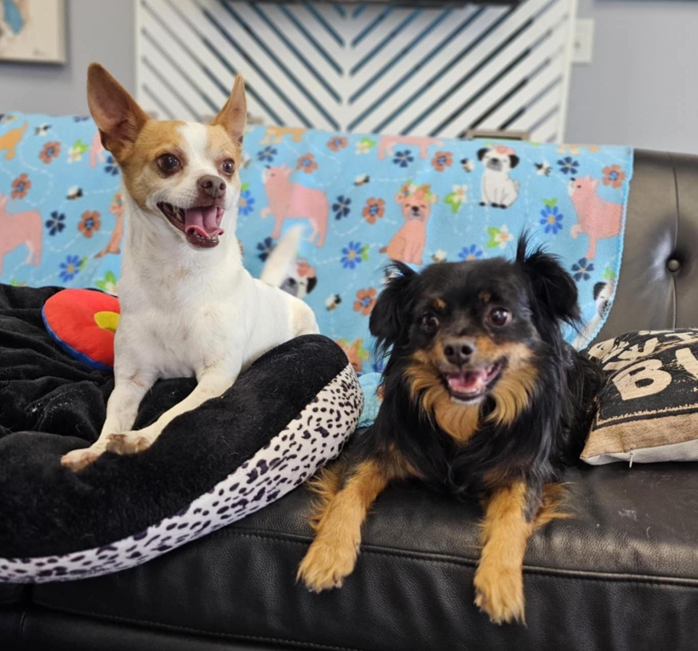 Carmelo And Valentino